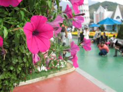 IMG_0172.JPG