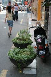 IMG_3029.JPG