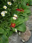 DSCN0309.JPG
