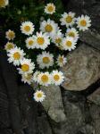 DSCN0312.JPG