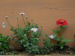DSCN0363.JPG