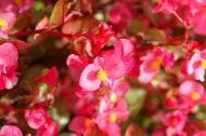 DSC_0830.JPG