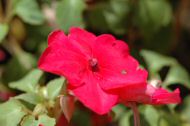 DSC_0859.JPG