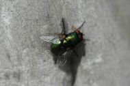 DSC_0872.JPG